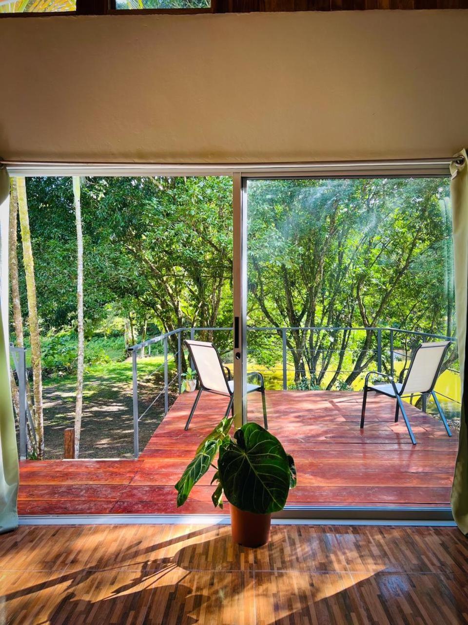 Boca Tapada Ficus House 아파트 외부 사진