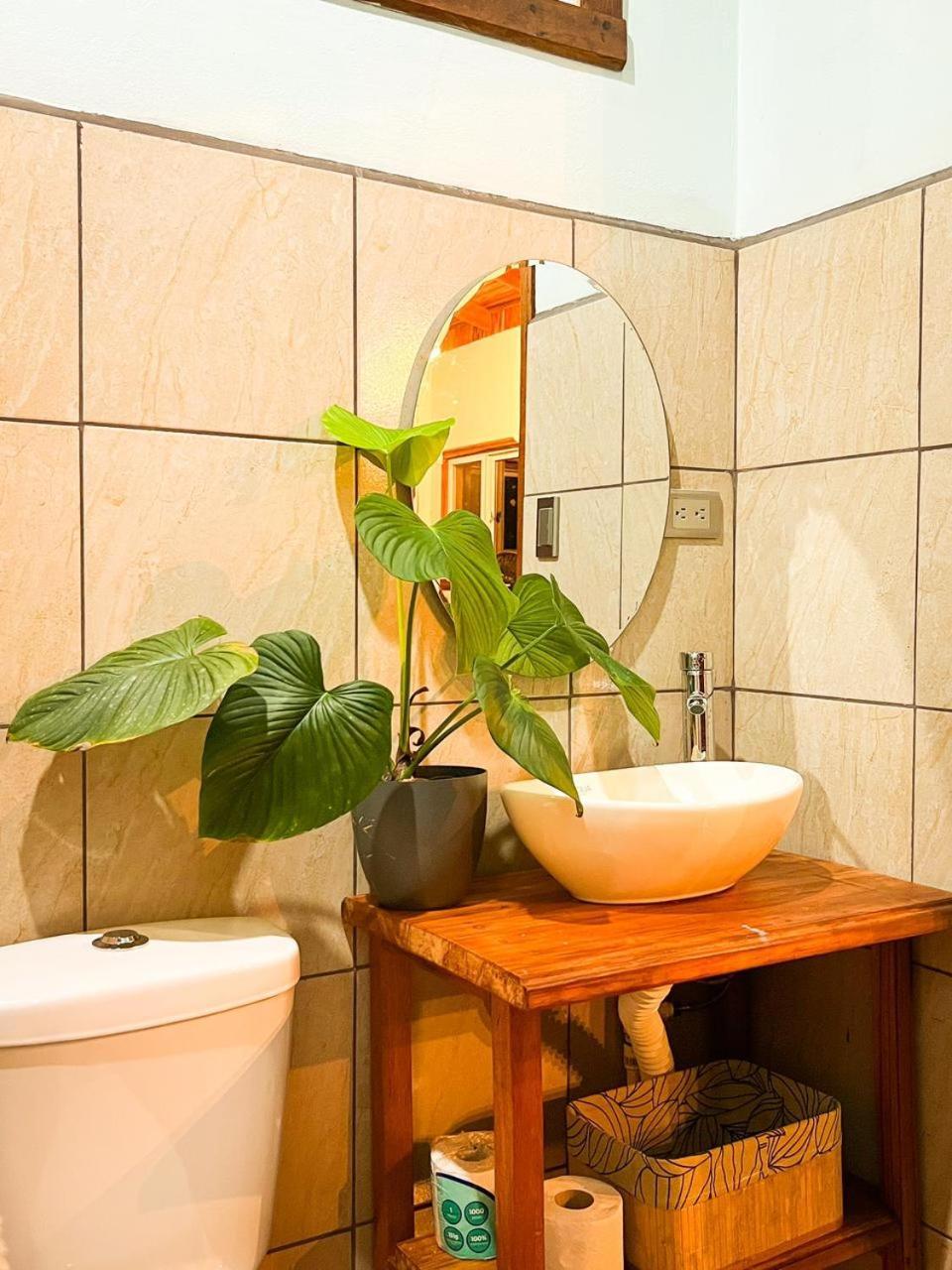 Boca Tapada Ficus House 아파트 외부 사진